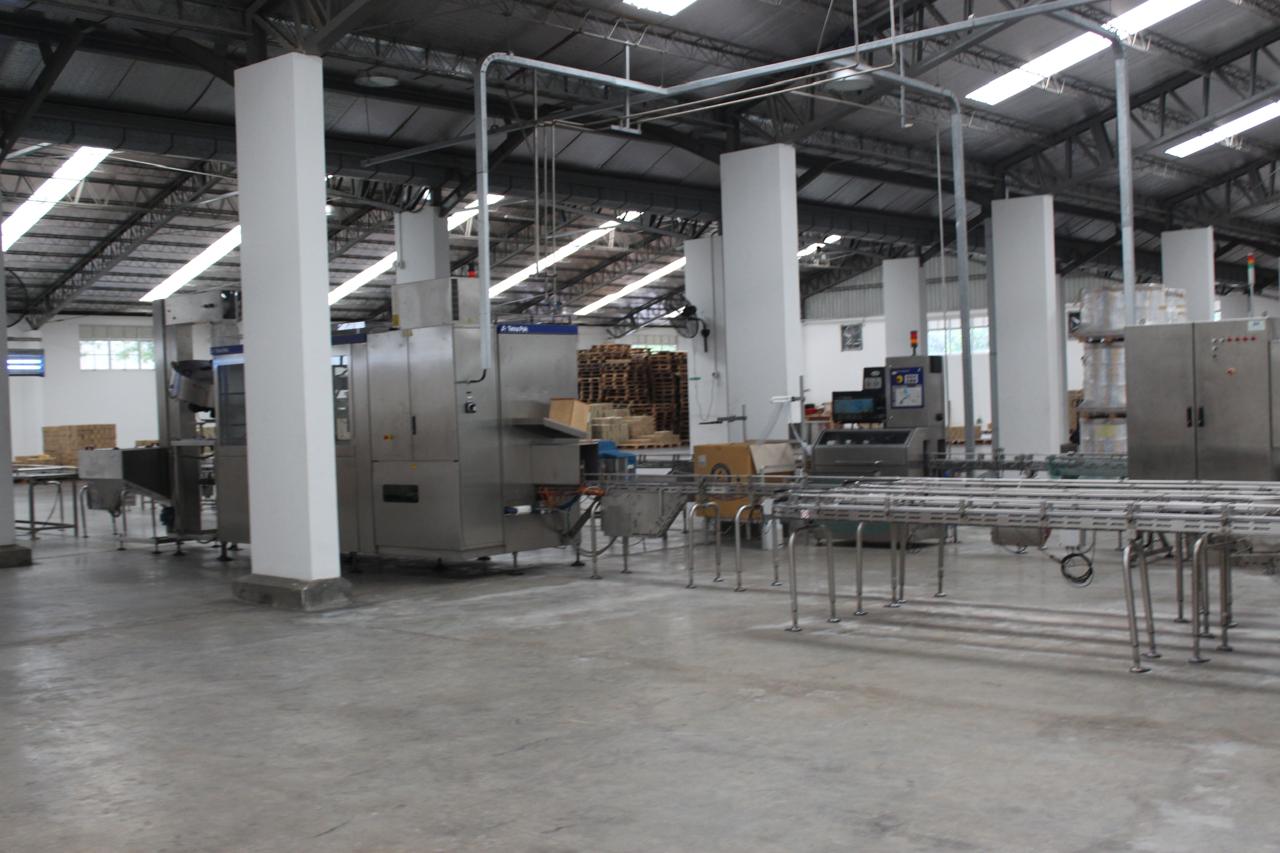 COMPLETE TETRA PAK UHT PLANT WITH TWO ASEPTIC FILLING LINES FOR SALE